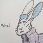 Bunni Profile Picture