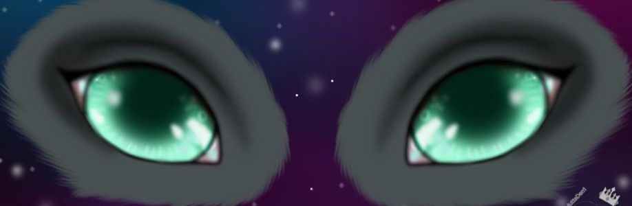 Bree Anna Cover Image