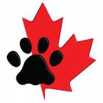 CanadianFurs Profile Picture