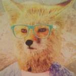Jace_A_Fox profile picture