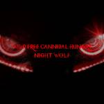 NightWolf Radio profile picture