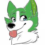 CedarCollie Profile Picture