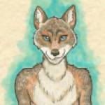 Ahmar Wolf Profile Picture