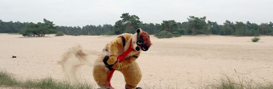 Thabo Meerkat Cover Image