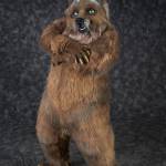 Grubbs Grizzly Profile Picture