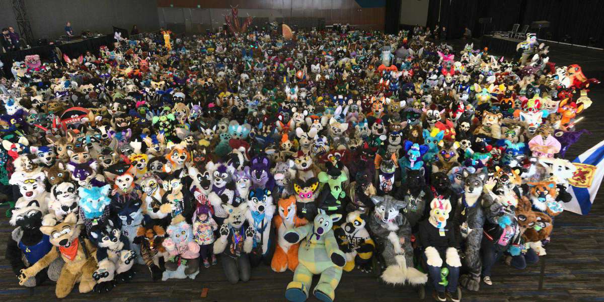 How I found the furry fandom? + My current view on the fandom.