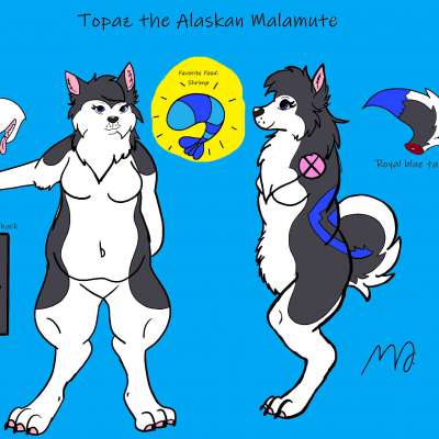 Reference Sheet Profile Picture