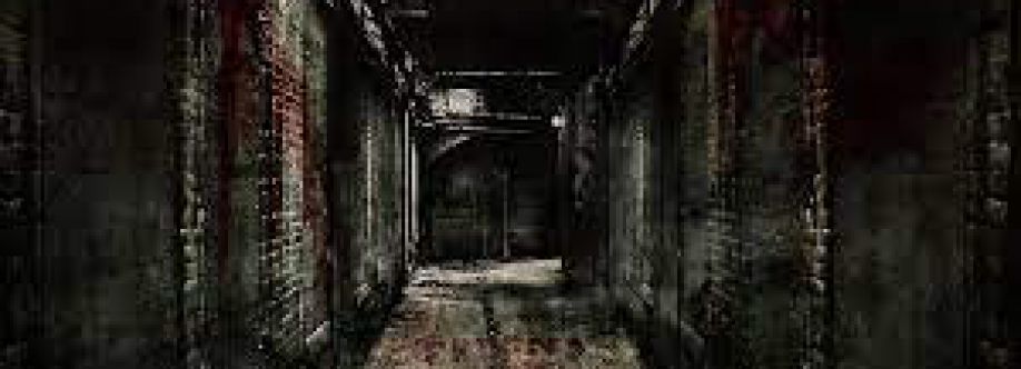 The Fallen Labyrinth Cover Image
