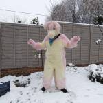 Alex shone Profile Picture