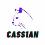 CASS1AN Music Production Profile Picture