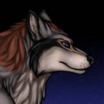 Shadow Wolf Profile Picture