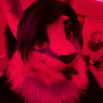 Angela Kitty Profile Picture