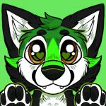 Nitro Werehusky Profile Picture