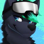 Axel wolf Profile Picture