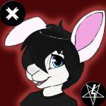 Remy Rabbit Profile Picture