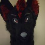 Punk rock Wolfe Profile Picture