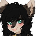 Axel wolf Profile Picture