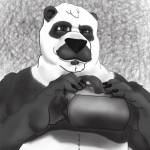 Chenall Panda Profile Picture