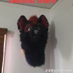 Punk rock Wolfe Profile Picture