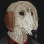 Robin Grimmgall Profile Picture