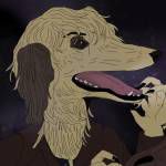 Robin Grimmgall Profile Picture
