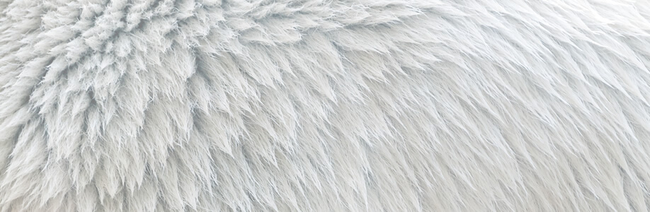 Dutch furs Cover Image