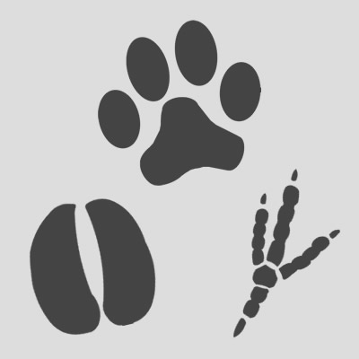 Arizona Furries Profile Picture